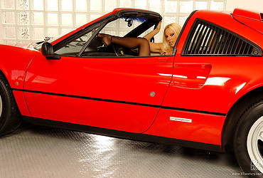 Vega Vixen Black Pantyhose - Photo #2