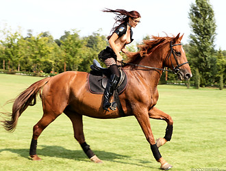 Rocco's Sluts In Uniform - Photo #1