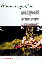 Several girls showing the true sixties style in sexy action - Photo #1