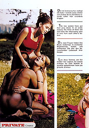 Several girls showing the true sixties style in sexy action - Photo #5