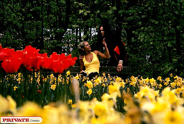 Amazing slim brunette in fishnet stockings dominating him - Photo #9