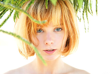 Fleurotix - Lily - Photo #5