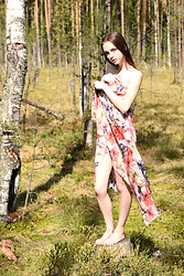 Presenting Pala - Pala - Photo #2