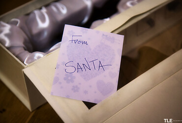 Santas Wish 1 - Cindy Shine - Photo #21