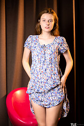 Citrus And Ginger 1 - Sienna - Photo #1