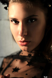 Feline Fine - Rise - Photo #3