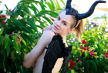 Aliceficenta - Photo #4
