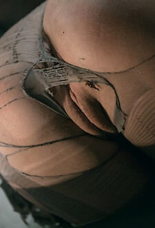 Scarecrow IV 1 - Emily J